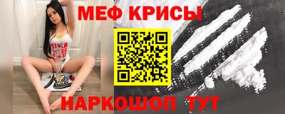 стаф Дубна