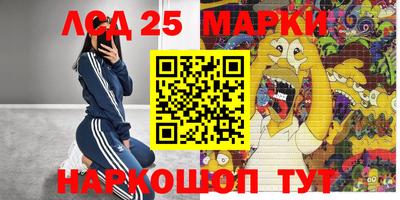 стаф Дубна