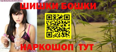 стаф Дубна