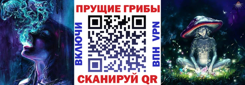 мориарти какой сайт  Ртищево  Галлюциногенные грибы прущие грибы 