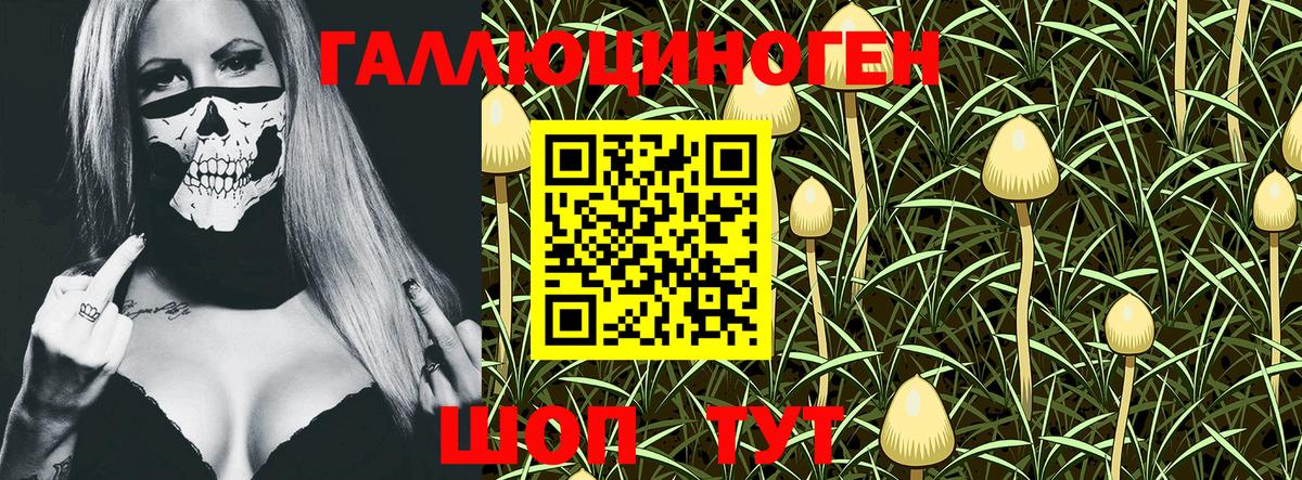 Псилоцибиновые грибы ЛСД  Галлюциногенные грибы Psilocybe  Вход с VPN  Ртищево 